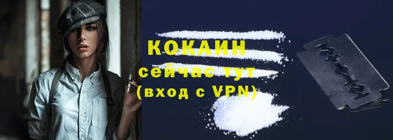 Cocaine Fish Scale  закладки  Ревда 