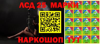 стаф Аргун
