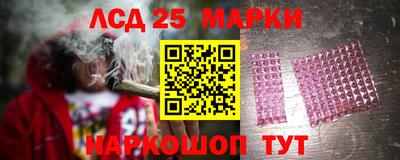 стаф Аргун