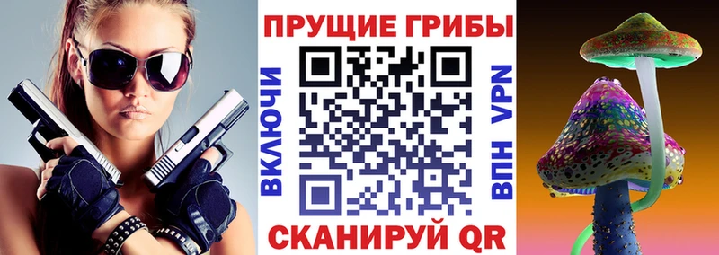 blacksprut как зайти  Ревда  Псилоцибиновые грибы Psilocybe 