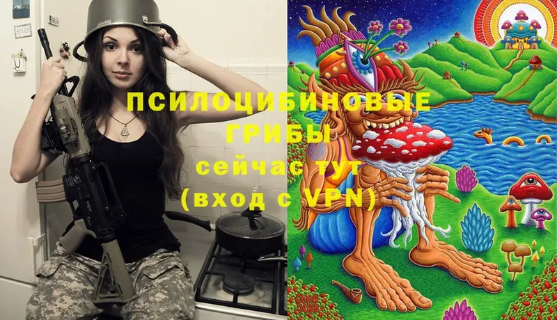 Галлюциногенные грибы Psilocybine cubensis  площадка состав  Ревда 